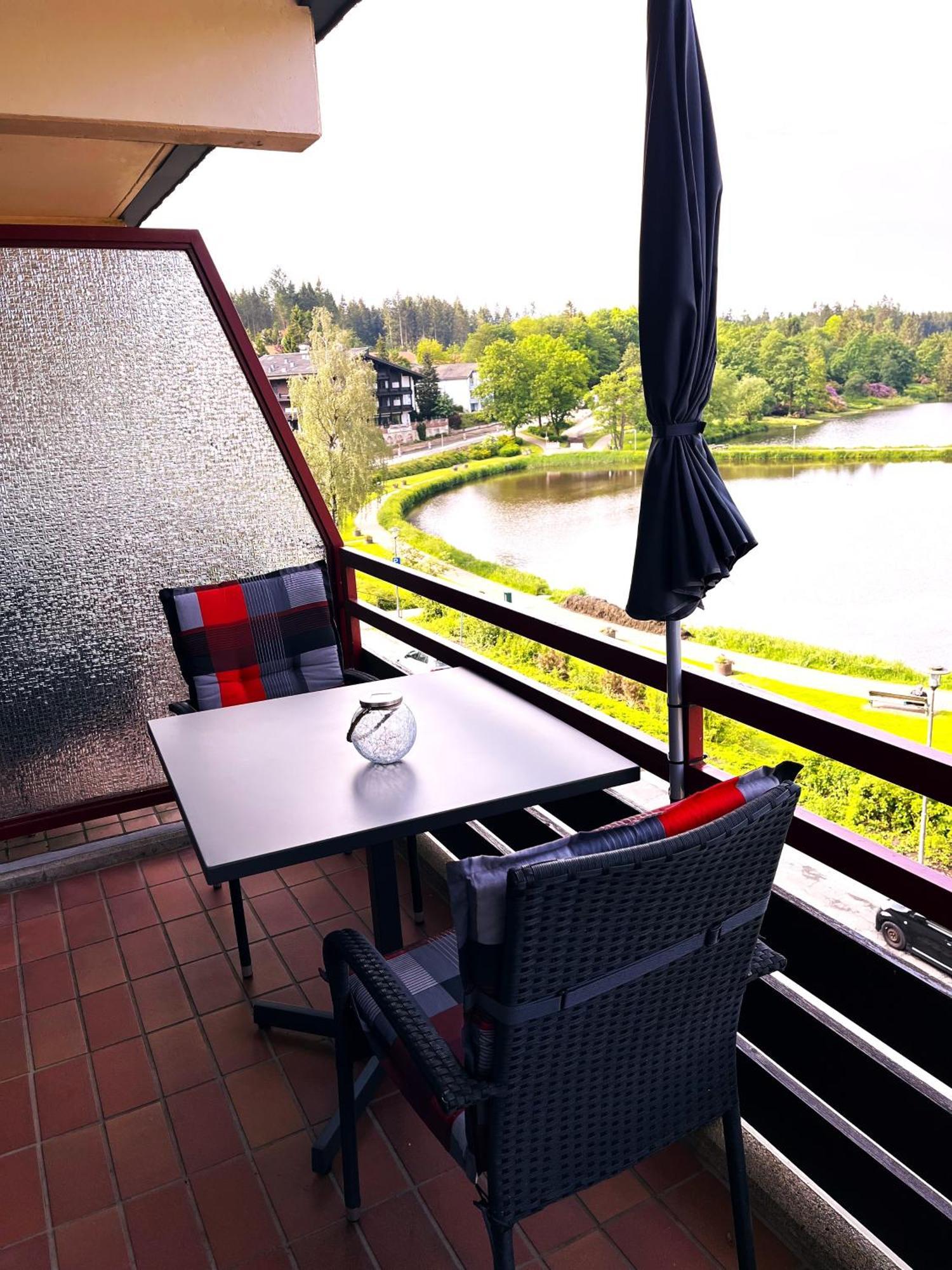 Appartement Ausblick Park กอสลาร์ ภายนอก รูปภาพ