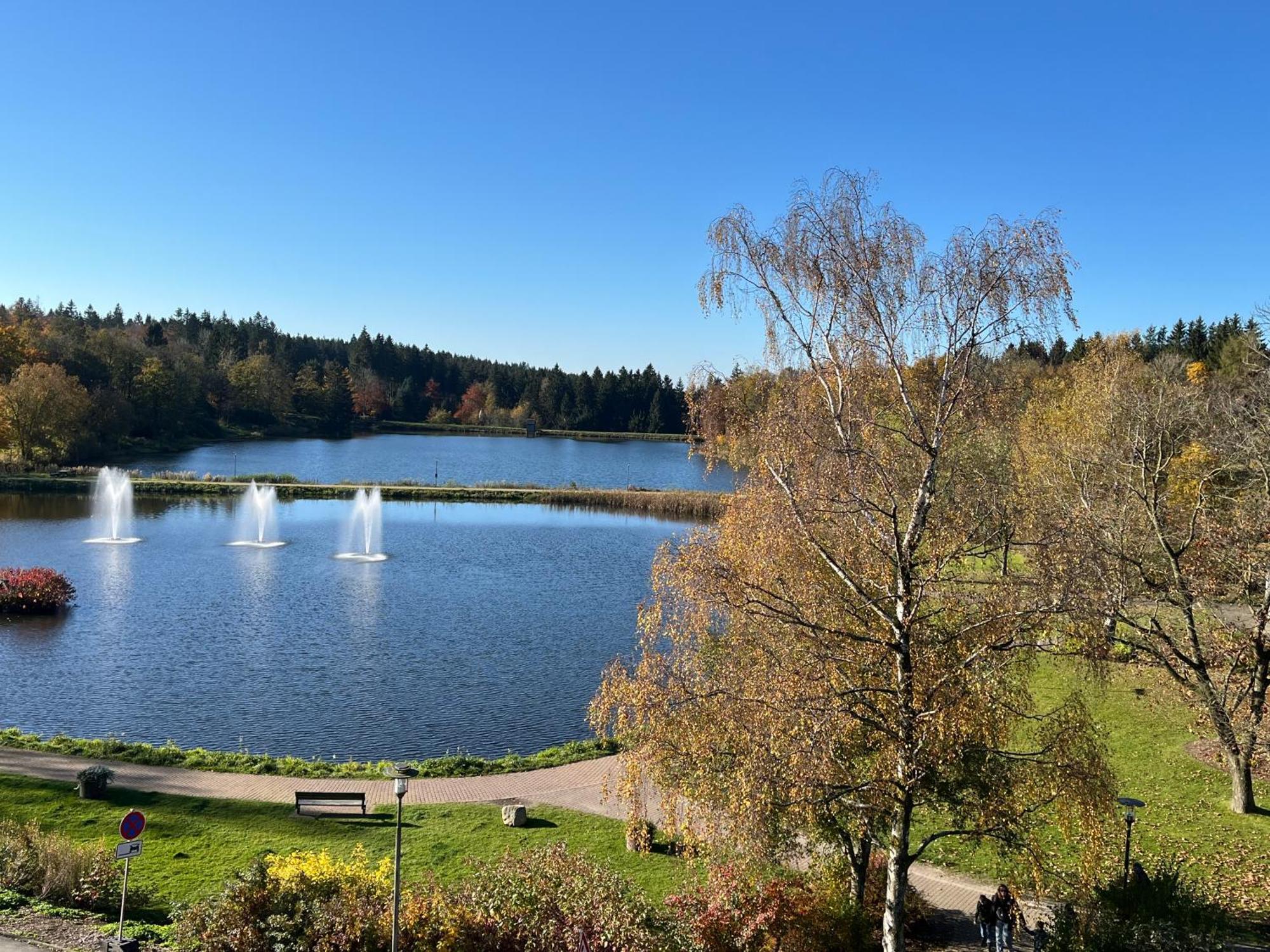 Appartement Ausblick Park กอสลาร์ ภายนอก รูปภาพ